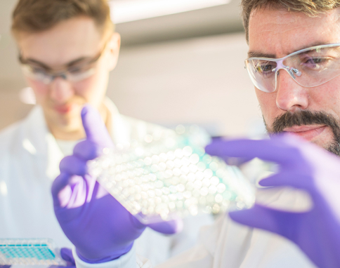 High Throughput Live-Cell Degrader Screening image