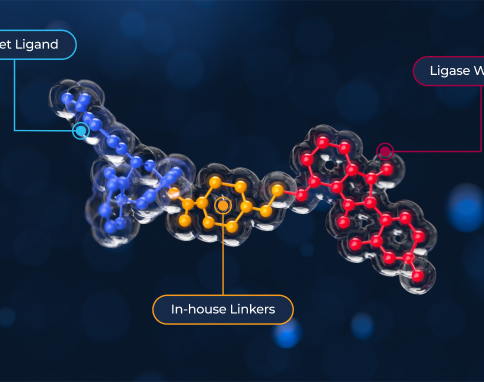 CHARMED Animation image