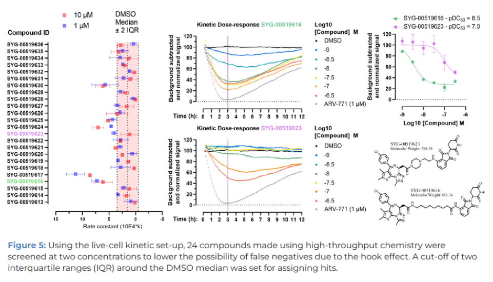 High Throughput Live-Cell Degrader Screening