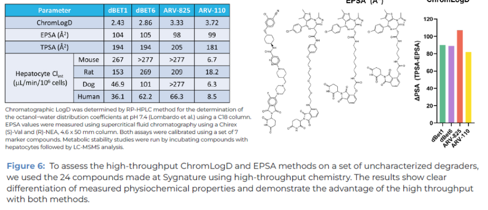 In vitro DMPK for Bifunctional Degraders